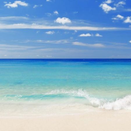 Best Location With Ocean View, Short Walk To Beach, Perfect Spot For Your Beach Vacation! Destin Exteriör bild
